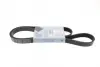 Ремінь генератора Renault Kangoo 1.9D 98-/ Hyundai i30/ Kia Cee\&#039;d 2.0 07-12 BLUE PRINT AD06R1400 (фото 1)