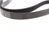 Ремінь генератора Citroen Berlingo/Fiat Scudo 1.9D 68/ Ford Fiesta/ Mitsubishi Lancer 1.3-2.0 95-03 BLUE PRINT AD06R1435 (фото 2)