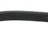 Ремінь генератора VW LT 2.8TDI/ Suzuki Grand Vitara 2.0 HDI 01-05/ Audi 80/ A6/ A8 2.6-2.8 91- 97 BLUE PRINT AD06R1636 (фото 2)