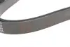 Ремінь генератора VW LT 2.8TDI/ Suzuki Grand Vitara 2.0 HDI 01-05/ Audi 80/ A6/ A8 2.6-2.8 91- 97 BLUE PRINT AD06R1636 (фото 3)