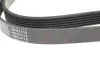 Ремінь генератора VW LT 2.5TDI -06/T4 2.5 91-03/Ford Connect 1.8 TDCi 02-07/ Opel Astra 1.7 07- BLUE PRINT AD06R1718 (фото 3)