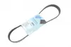 Ремінь генератора Citroen Berlingo/Peugeot Partner 1.6HDI/ Ford Fiesta/ Focus 1.4-1.6 TDCi 01- BLUE PRINT AD06R805 (фото 1)