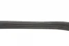 6PK870 PEUGEOT Partner, Expert, 206/306 98- BLUE PRINT AD06R870 (фото 2)