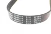 6PK870 PEUGEOT Partner, Expert, 206/306 98- BLUE PRINT AD06R870 (фото 4)