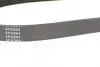 Ремінь 6PK894 OPEL Astra F 1,4/1,6 VW 1,6-2,0: Golf, Passat SEAT BLUE PRINT AD06R894 (фото 3)