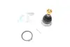 Опора кульова (передня/зверху) Nissan Navara/Pick Up 2.5dCi/D 97- BLUE PRINT ADN186126 (фото 1)