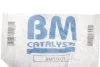 Фільтр сажевий VW T5 2.5TDI 03-09 (Євро 3-4) BM CATALYSTS BM11033 (фото 2)
