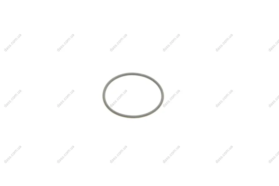 Кільце BMW 11217804748 (фото 1)