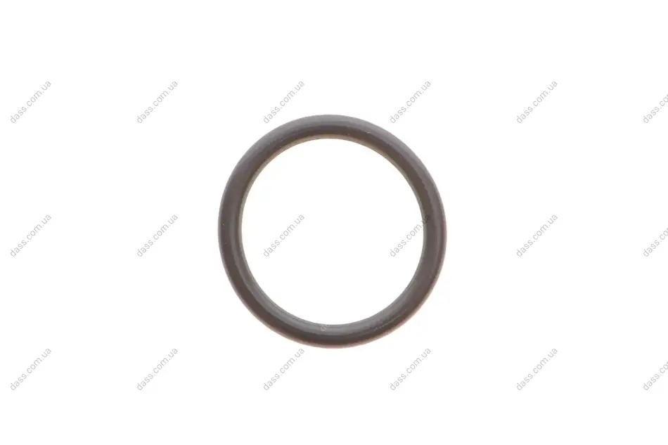 Кільце ущільнююче 1 (F20/F21) N13 11- (18.3x2.4) BMW 11317534770 (фото 1)