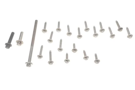 Болт насоса масляного 3 (E90)/5 (F10)/7 (F01-F04)/X5 (E70/F15/F85)/X6 (E71/E72/F16) 09-19 N55 BMW 11412165397