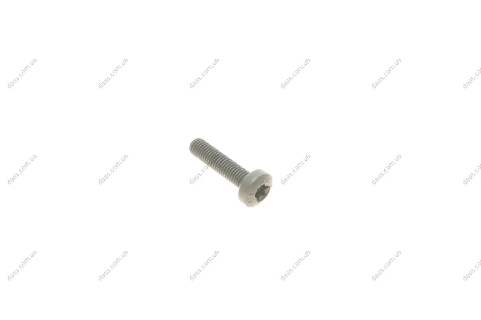 Болт насоса масляного 3 (E90-E93)/5 (F10/F11)/X3 (F25)/X5 (E70) 04- N47 BMW 11417807350 (фото 1)