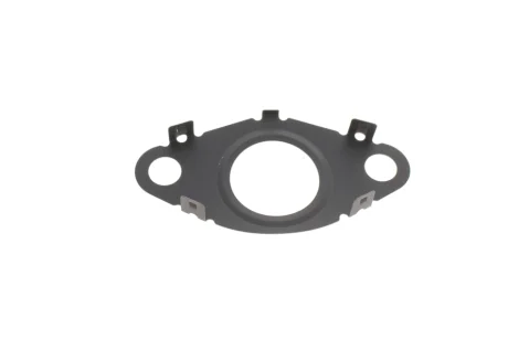Прокладка клапана EGR 5 (G30/F90) 16-/X3 3.0d (B57) 17- BMW 11618579881