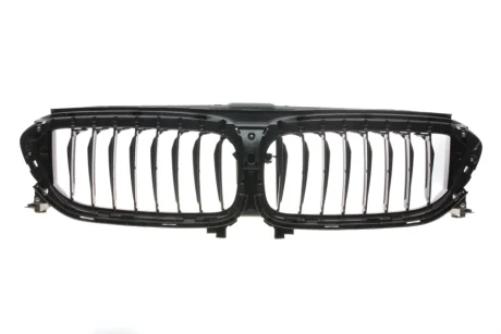 Решітка центр на G30 BMW 51137497281