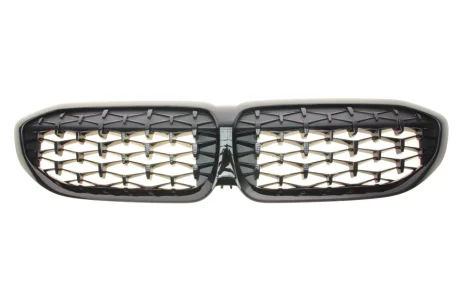 Передня декоративна решiтка BMW 51139448474