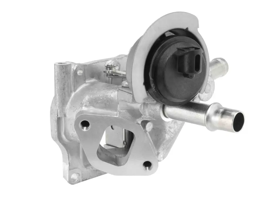 BORGWARNER RENAULT Клапан EGR MEGANE IV 1.6 dCi 165 15-, TRAFIC III (JG) 1.6 dCi 125 15- BorgWarner 710532D0 (фото 1)
