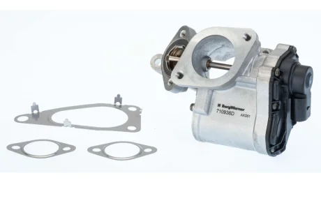 BORGWARNER RENAULT Клапан EGR Megane II 1.9dCi 05-, Laguna II, Suzuki Grand Vitara 1.9 DDiS 05- BorgWarner 710938D