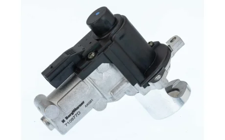 BORGWARNER VW Клапан EGR Audi A4/5/6,Q7,Touareg 3.0/6.0TDI 04- BorgWarner 710977D