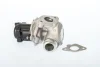 BORGWARNER CITROEN Клапан EGR Berlingo 05-,C4/5 III,Jumpy,Ford,Peugeot 1.6HDI/TDCi BorgWarner 711021D (фото 1)
