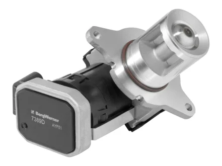 BORGWARNER DB Клапан EGR W203/211,Chrysler PT Cruiser 2.2CDI 01- BorgWarner 7389D