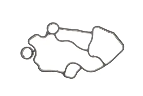 Прокладка корпуса фільтра масляного Audi A4/A6 2.0TFSI/VW Golf V 2.0 06- Borsehung B10622