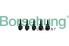 Болт кришки ГРМ VW Golf V/VI/Passat B6/B7 1.8/2.0 TFSI 04-16 (к-кт 5шт) Borsehung B10628 (фото 1)