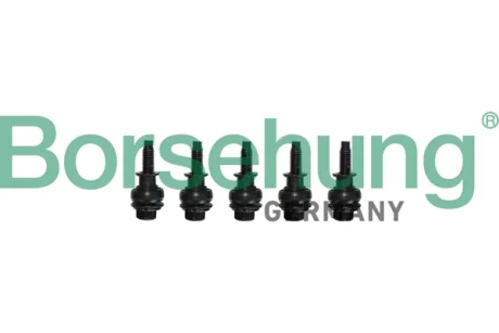 Болт кришки ГРМ VW Golf V/VI/Passat B6/B7 1.8/2.0 TFSI 04-16 (к-кт 5шт) Borsehung B10628