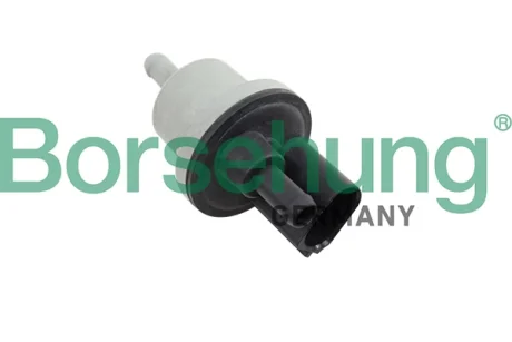 Клапан вентиляції картера VW Golf V/Passat 2.0 FSI 04-10 Borsehung B12188