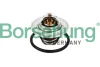 Термостат VW T5/Caddy/Passat 1.6/2.0i 03-15 (від 87-102 ° C) (OE VAG) Borsehung B13140 (фото 1)