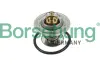 Термостат VW T4/T5/Audi A3/A6 1.9D/1.9/2.0TDI/2.0 90- (від 87 до 102 °C) (OE VAG) Borsehung B13141 (фото 1)