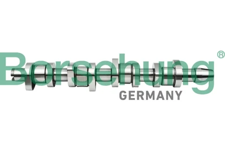 Розподільний вал VW Caddy III 1.9TDI (BJB,BLS) 77kw 04-10/VW T5 1.9TDI (AXC,AXB) 63/77kw, 03-09 (OE VAG) Borsehung B17861