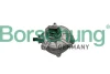 Насос вакуумний Audi A4/A6/A8 04-10 (OE VAG) Borsehung B18772 (фото 1)