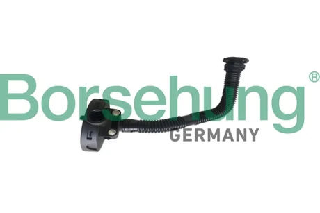 Клапан вентиляції картера Skoda Fabia/Roomster 1.6 06- Borsehung B19055