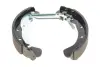 Комплект барабанных колодок с тормозными цилиндрами BOSCH 0 204 114 642 (фото 3)