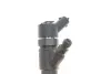 Форсунка Citroen Jumper/Fiat Ducato/Iveco Daily 3.0HDi 06- BOSCH 0 445 110 248 (фото 3)