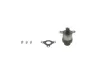 Елементи насоса паливної системи NISSAN PRIMASTAR, QASHQAI I, X-TRAIL II RENAULT KOLEOS I, LAGUNA, LAGUNA III, LATITUDE, TRAFIC II M1D-M9R866 08.06- BOSCH 1 465 ZS0 025 (фото 2)