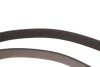 Комплект ременя генератора Renault Megane/Scenic 1.9 dCi/2.0 16V 03- (7PK1125) Bosch 1987600711 (фото 6)