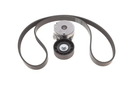 Комплект ременя генератора Renault Megane IV 1.6 TCe 16- (6PK1213) Bosch 1 987 600 717