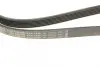 Ремінь генератора Audi A8 3.0i 03-06/Lexus GS/IS 3.0/3.5 00-11/Ford Fiesta 1.25-1.6 94-02 (6PK1930) BOSCH 1 987 946 005 (фото 4)
