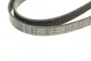 Ремінь генератора Audi A8 3.0i 03-06/Lexus GS/IS 3.0/3.5 00-11/Ford Fiesta 1.25-1.6 94-02 (6PK1930) BOSCH 1 987 946 005 (фото 5)