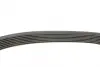 Ремень генератора BMW 5 (E34)/7 (E32/E38)/8 (E31) M60 92-/Land Rover Discovery 2.5TDI 90-98(7PK1605) BOSCH 1 987 946 091 (фото 3)