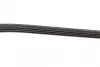 Ремень генератора BMW 3 (E46)/X3 (E83) 01-07/Fiat Stilo 1.6 16V 01-08 (4PK917) (M47) BOSCH 1 987 946 127 (фото 4)