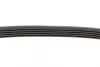 Ремінь генератора Ford Fiesta/Fusion 1.25/1.4/1.6 01-12 (5PK690) BOSCH 1 987 946 141 (фото 4)