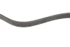 Ремінь генератора Ford Focus II/C-Max/Volvo C30/S40 II/V50 1.8/2.0 04-12 (6PK1249) BOSCH 1 987 946 173 (фото 3)