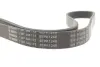 Ремінь генератора Ford Focus II/C-Max/Volvo C30/S40 II/V50 1.8/2.0 04-12 (6PK1249) BOSCH 1 987 946 173 (фото 4)