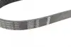 Ремінь генератора Ford Transit 2.2TDCi 06-18 (6PK873) BOSCH 1 987 946 199 (фото 3)