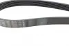 Ремінь генератора Peugeot 406 96-04/Citroen C4 Picasso 2.0i 07-13 (6PK1480) BOSCH 1 987 946 276 (фото 3)