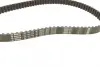 Комплект ГРМ Ford Connect/Focus/Mondeo 1.8TDCI 02- (20x91z) BOSCH 1987946349 (фото 3)