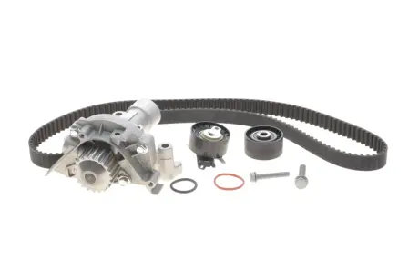 Комплект ГРМ Citroen Jumpy/Peugeot Expert 2.0 16V 07- (25.4x153z) BOSCH 1 987 946 442