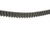 Комплект ГРМ + помпа Audi A3/TT/Skoda Octavia/VW Golf/Sharan 1.8 95-10 (23x150z) BOSCH 1 987 946 499 (фото 3)