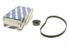 Комплект ГРМ Renault Kangoo/Dacia Dokker/Lodgy/Logan/Sandero 1.4/1.6i 04- (17.3x96z) 1 987 946 524